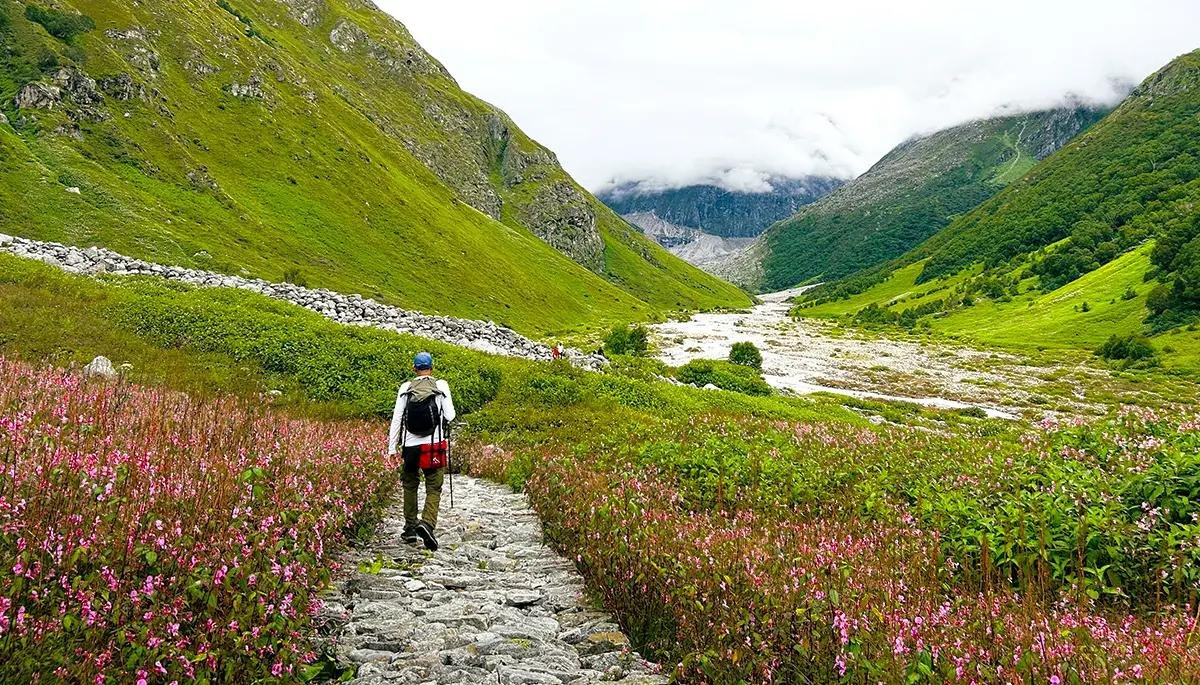 Valley of Flowers Tour